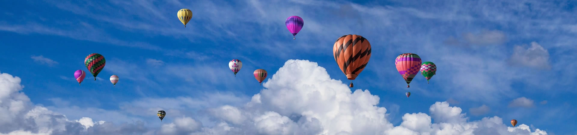 上海高端大圈经纪